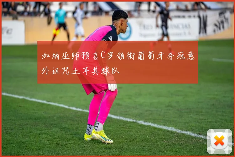 加纳巫师预言C罗领衔葡萄牙夺冠意外诅咒土耳其球队